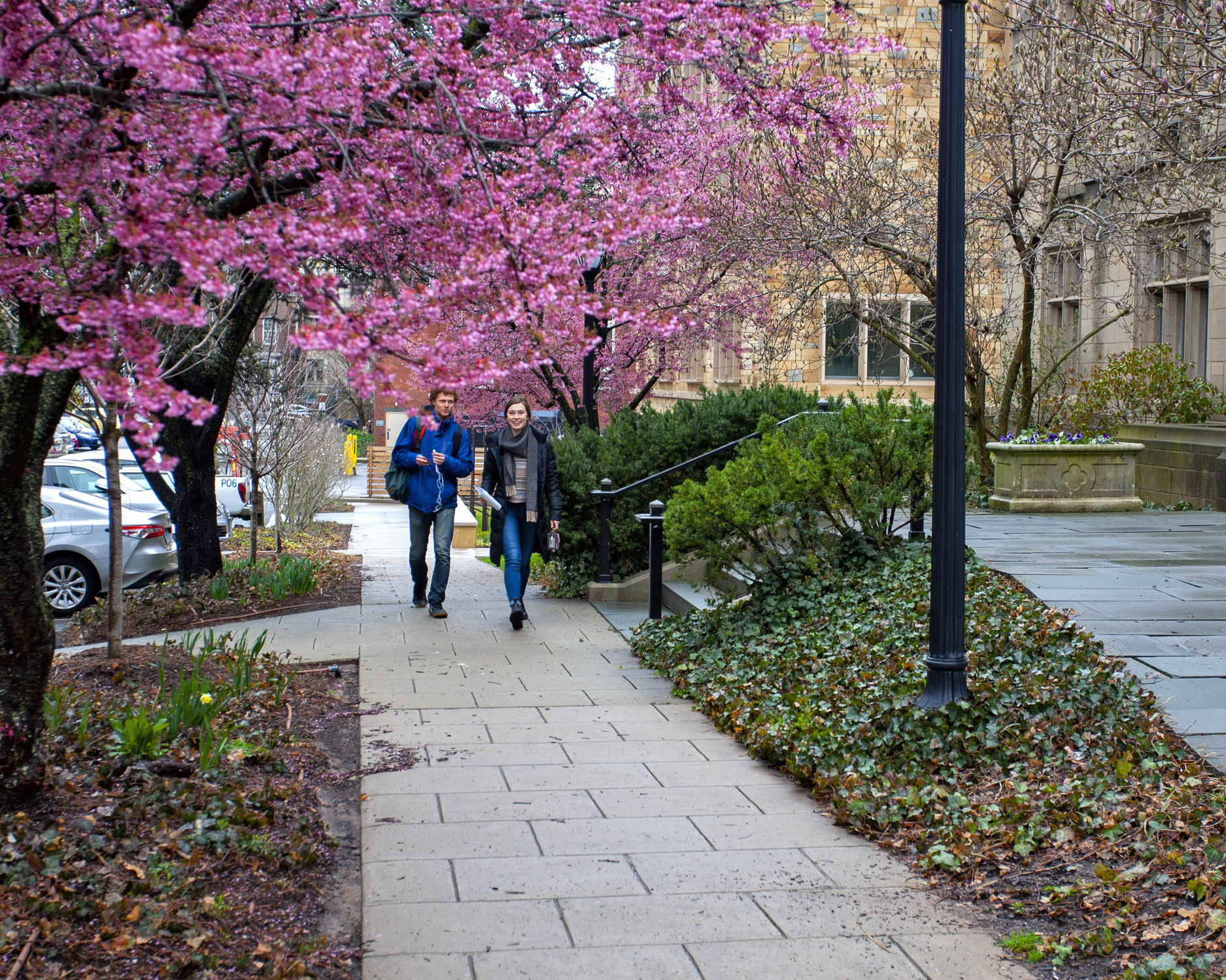 campus in spring