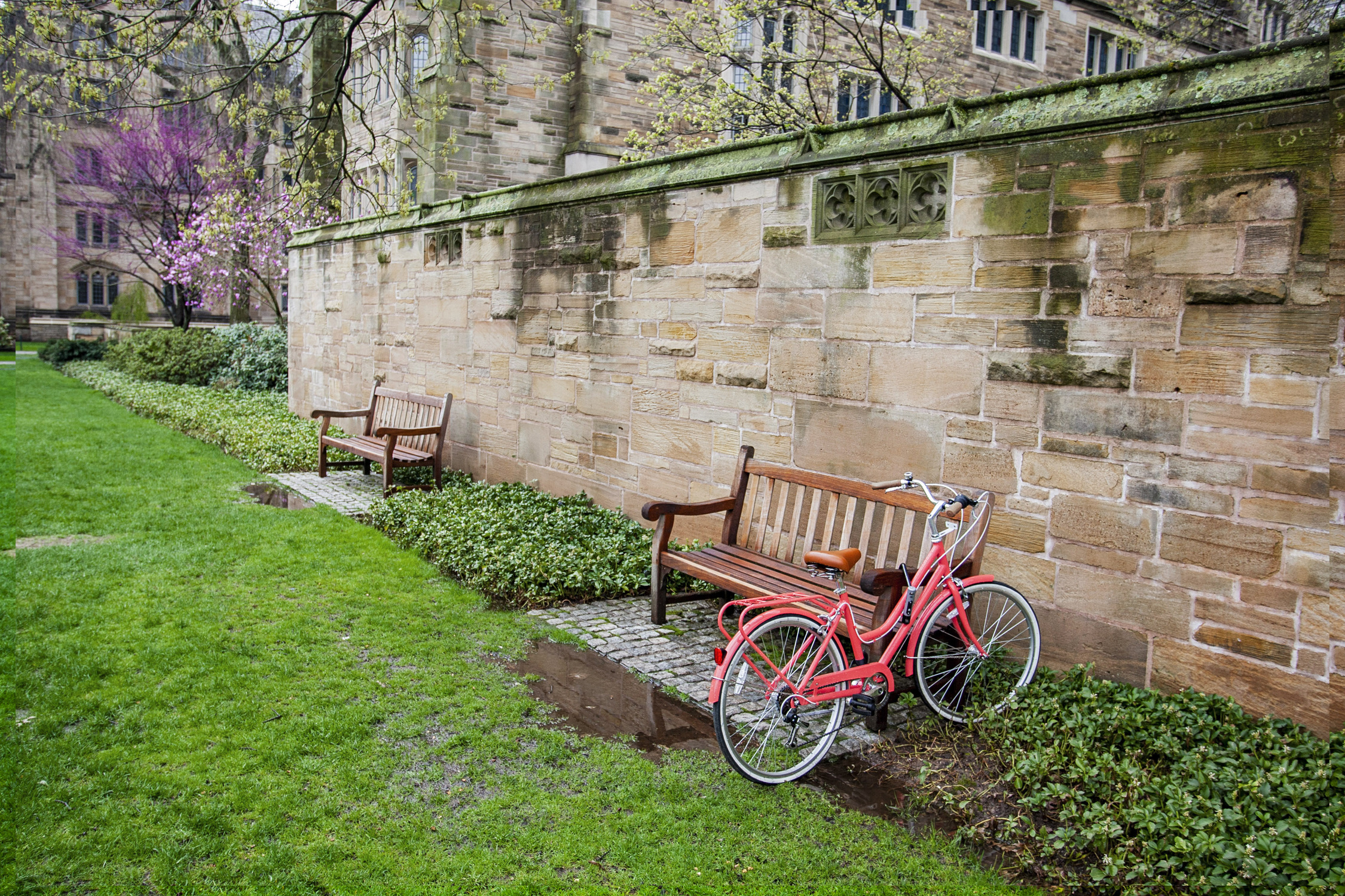 bench and bike on old campus