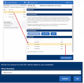 Registration Worksheet Discussion